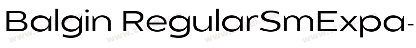 Balgin RegularSmExpa字体转换